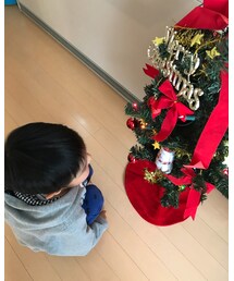 ✨🎄✨ | その他