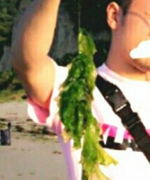 ワカメしか釣れない(笑) | その他