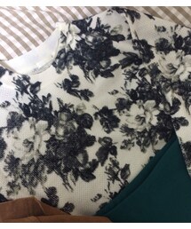 トップス(Tシャツ/カットソー)