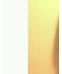 goro's | アクセサリー