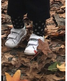 adidas | スニーカー