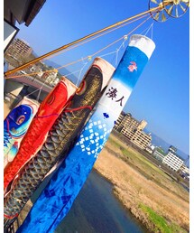 アパートの鯉のぼり | その他