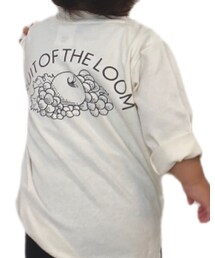 FRUIT OF THE LOOM | Tシャツ/カットソー