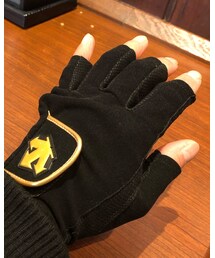 DESCENTE | DESCENTE グローブ JRA騎手愛用品(手袋)