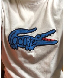 LACOSTE | Tシャツ/カットソー