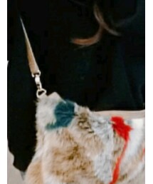 ZARA | スウェット