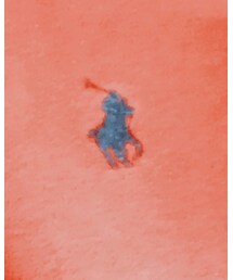 POLO RALPH LAUREN | スウェット