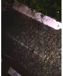 no brand | サングラス