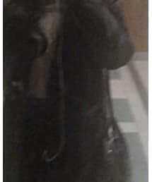 ZARA | テーラードジャケット