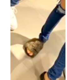 GU | その他シューズ