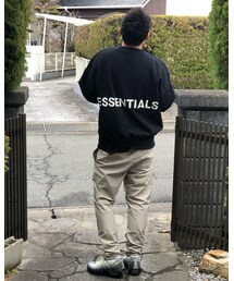 バックショット | その他