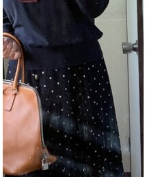 Apuweiser-riche | スカート