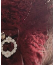 TOCCA | マフラー