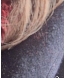 TOCCA | ジャケット/アウター