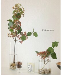 秋の植物 | その他