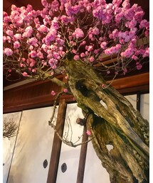 サービス🌸 | その他