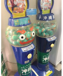 沖縄お土産フィギュア | フィギュア