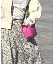 ANNA SUI | バッグ