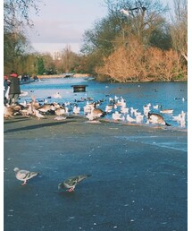 TORY BURCH | ドラムバッグ