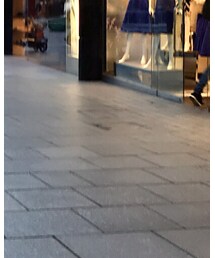 Sophie Hulme | トートバッグ