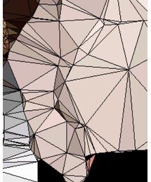 Champion | パーカー