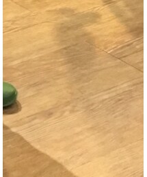 no brand | スタジャン