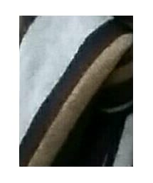 Calvin Klein | マフラー