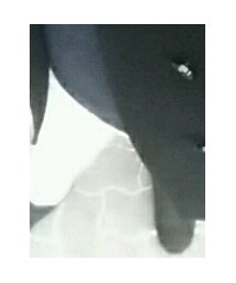 BURBERRY BLACK LABEL | ピーコート