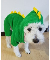 愛犬🐶ぷーちゃん💗 | その他