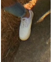 VANS | スニーカー