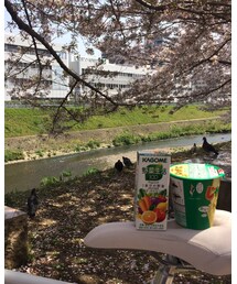 お花見🌸 | 近所でお花見しました😗🌸(その他)