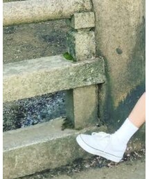 Champion | ソックス/靴下