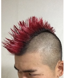 赤いモヒカン | その他
