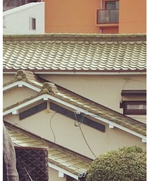 JAMES PERSE | スウェット