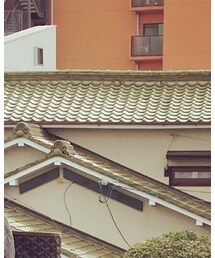 Oliver Goldsmith | メガネ