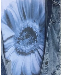 DIESEL | Tシャツ/カットソー
