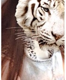 chomel | トップス