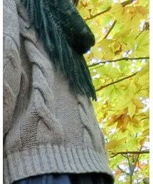 URBAN OUTFITTERS | マフラー
