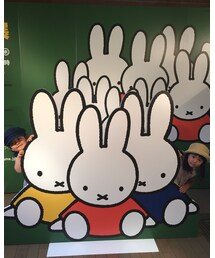 ミッフィー | その他