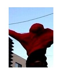 American Eagle | トップス