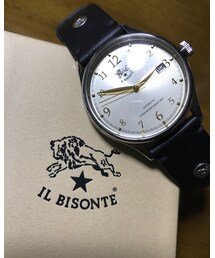 IL BISONTE | (アナログ腕時計)