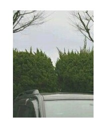 Champion | キャップ