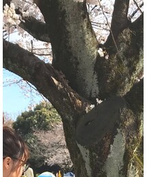 4℃ | ネックレス