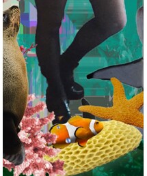 ALDO | ドレスシューズ