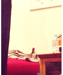 adidas | スニーカー