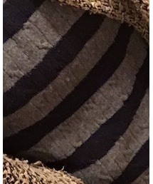 TOMMY HILFIGER | ニット/セーター