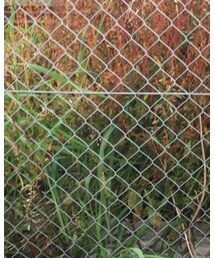 kids foret | ハット