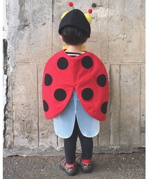 🐞 | その他