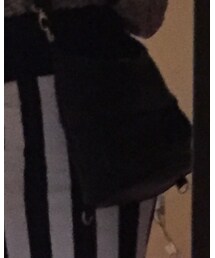 ear PAPILLONNER | バッグ