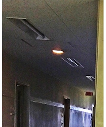 HOLLYWOOD RANCH MARKET | キャップ